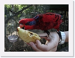 At_the _zoo (27) * 2048 x 1536 * (1.32MB)